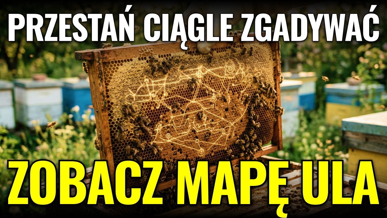 Dlaczego ten ul mioduje? Sekret 