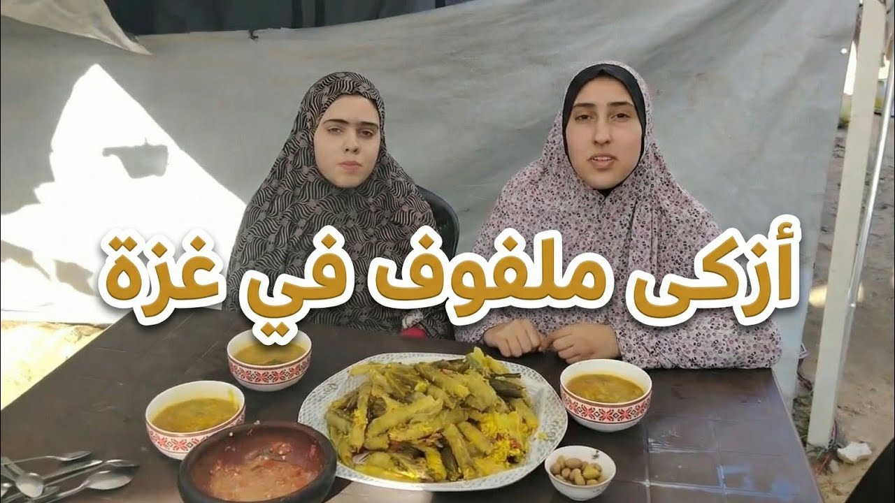 طريقة عمل ملفوف محشي فلسطيني على الحطب في خيام غزة | تحدي الطبخ🤗🤗🤗