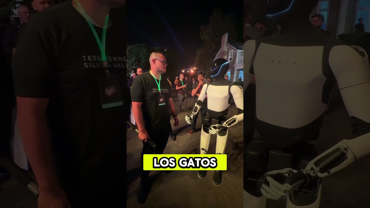 Полный разговор с Tesla Robo Optimus