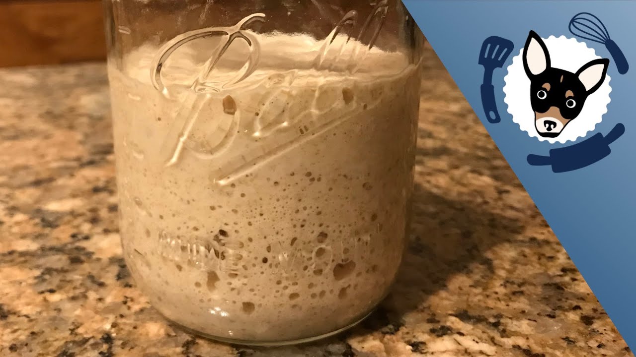 How to Make Yeast with Less Flour for Beginners