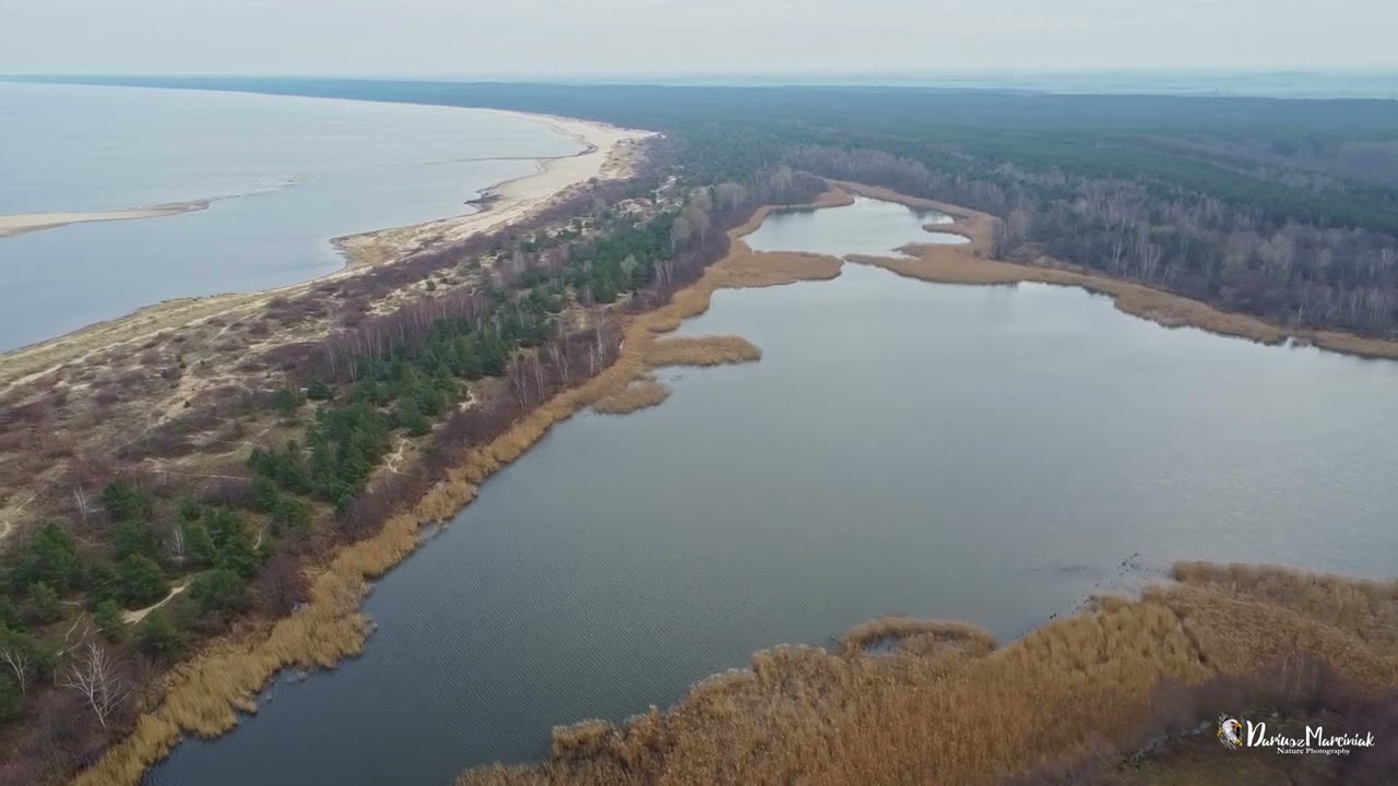 Mikoszewo - Mewia Łacha