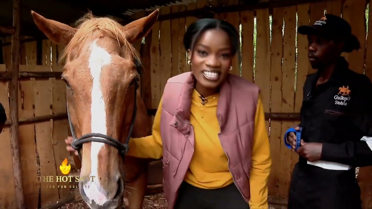 A day at the stables. Exploring Gallop Go Stables #TheHotSpot