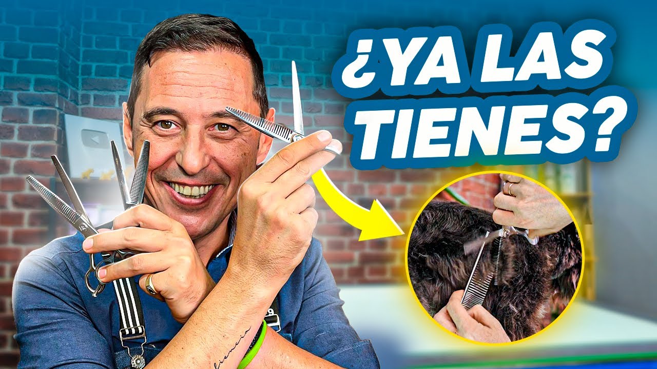 Esta TIJERA CAMBIÓ mi PELUQUERÍA CANINA por COMPLETO ✂️