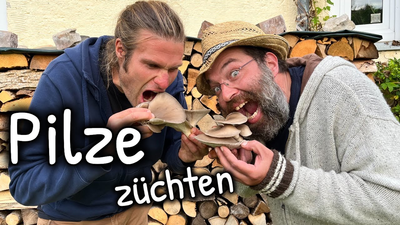 Pilze erfolgreich züchten für jedermann