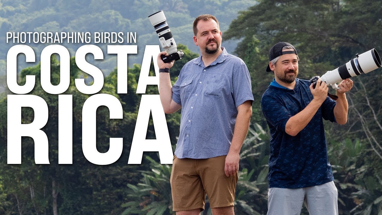 Trail Camera: Bird Photography In Costa Rica