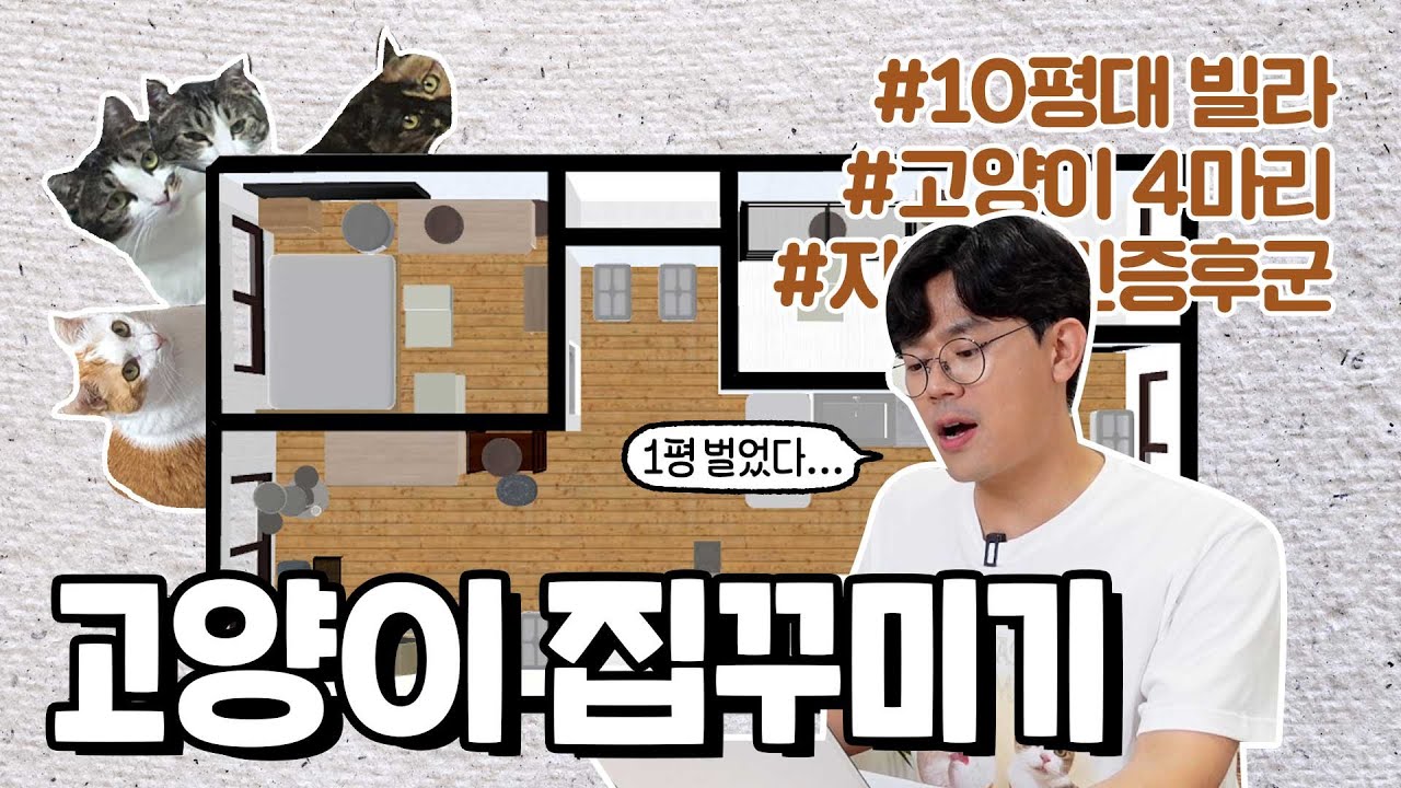 고양이 4마리가 사는 10평대 집🏠호화궁궐로 만들어줄 캣테리어의 마법💫