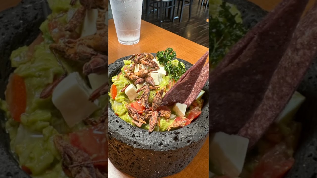 NOT FOR THE FAINT OF HEART! Dip into Guacamole con Chapulines at Amealco Mexican -Georgia Foodies