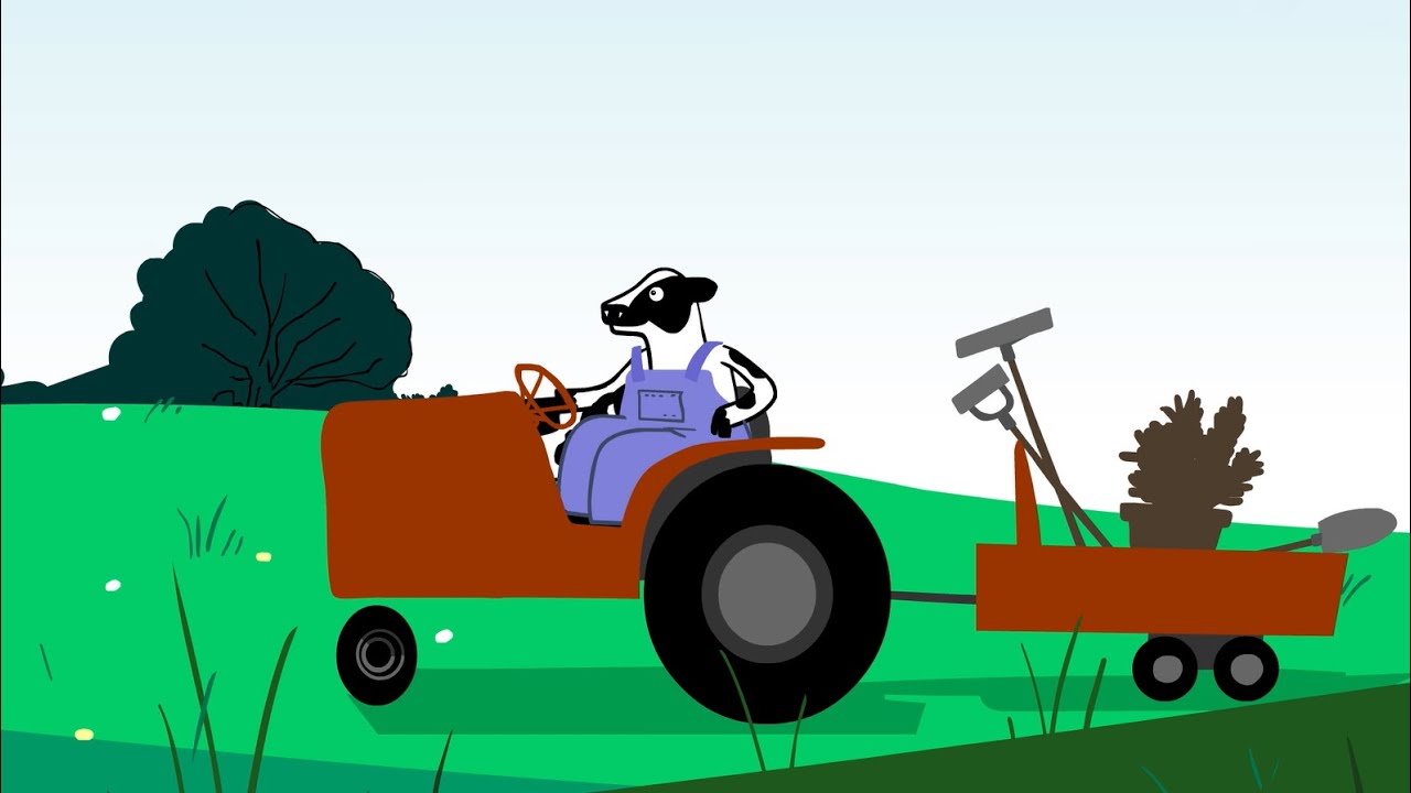 Cows and the Environment