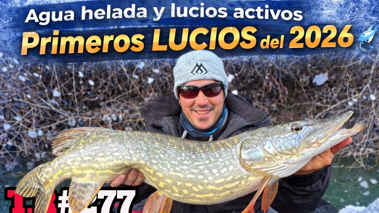 Agua helada❄️ y los lucios activos👈 PRIMEROS LUCIOS DEL 2026⚠️