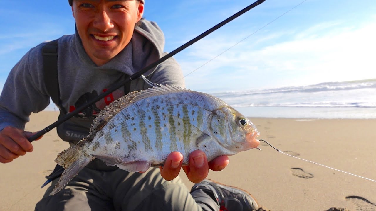Surf Fishing the California Coast - Back to my roots
