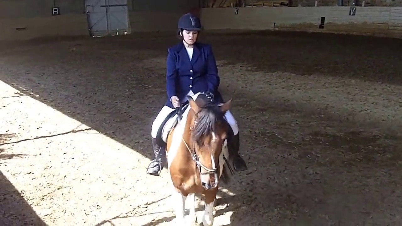 Passage du galop 5 de dressage à Pollionnay