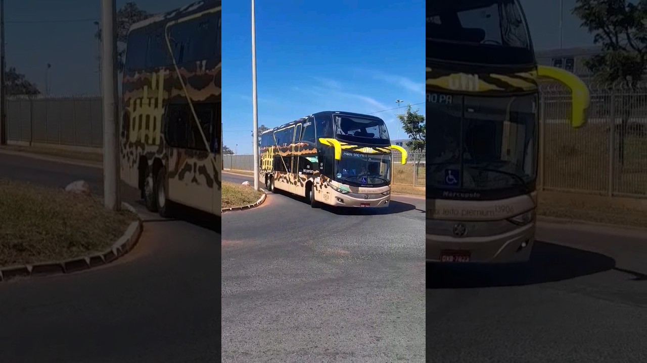 &Uacute;til  com sua linda pintura 😍 #onibus #bus #busologia #busologos #shortvideo