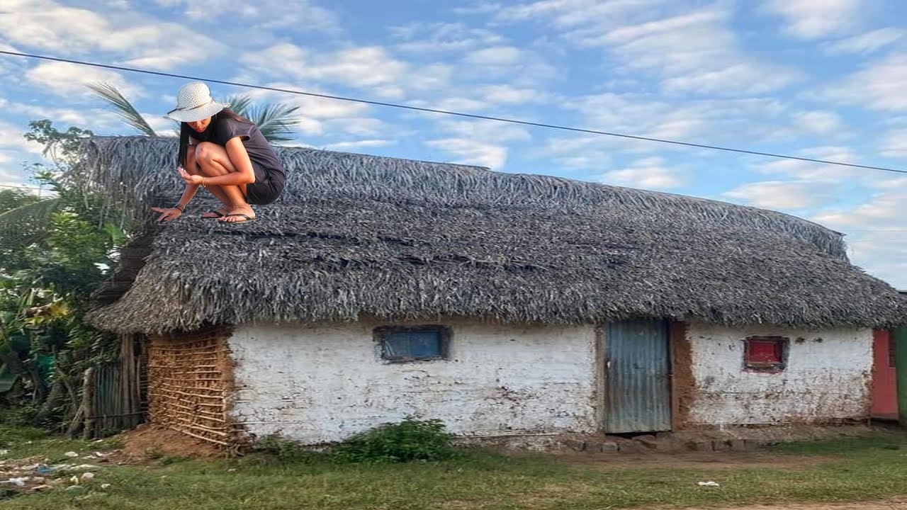 Abandoned house transformed into villa 