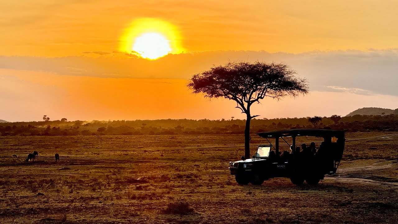 2024 🇰🇪 Keňa (přesun na safari, 8. den)