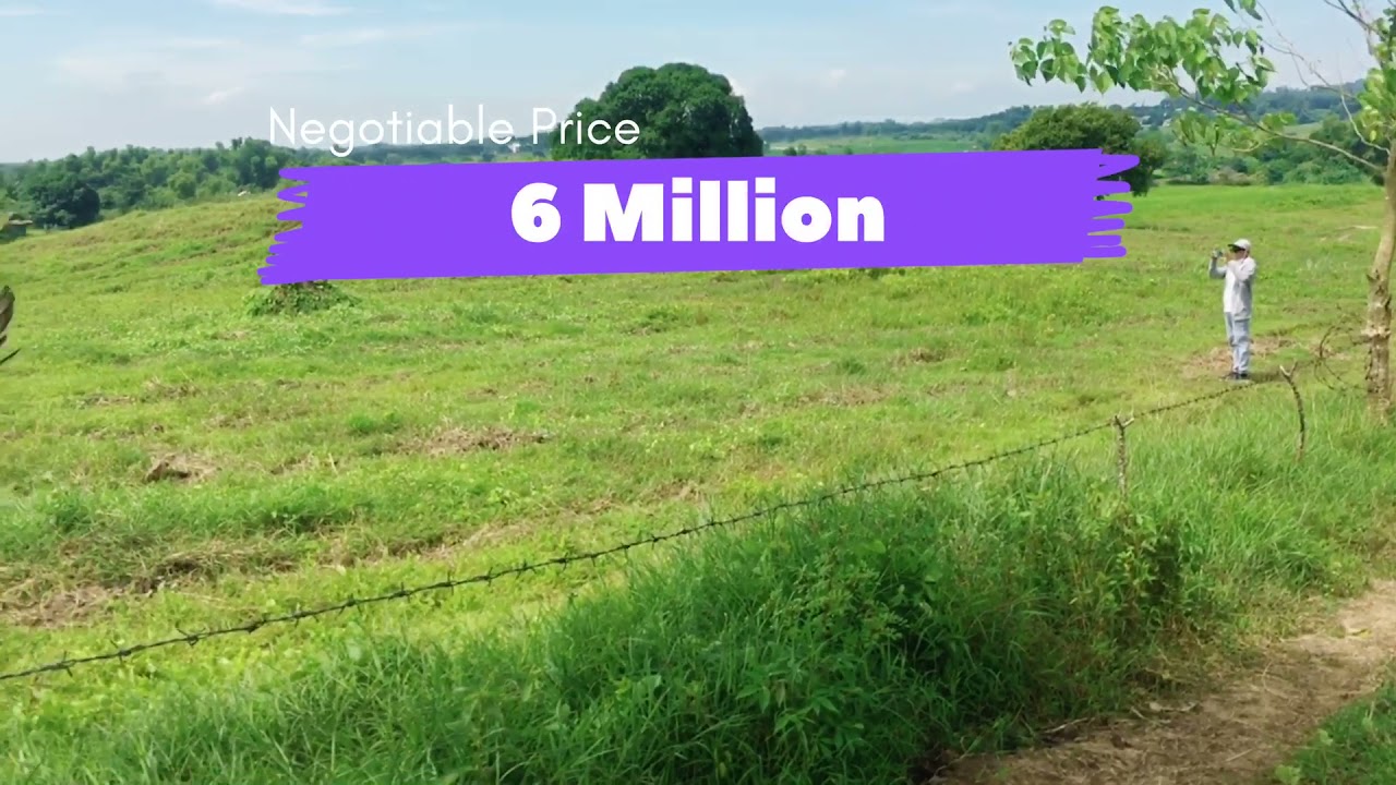 #3 Farm Lot Rush For Sale || 9 has
