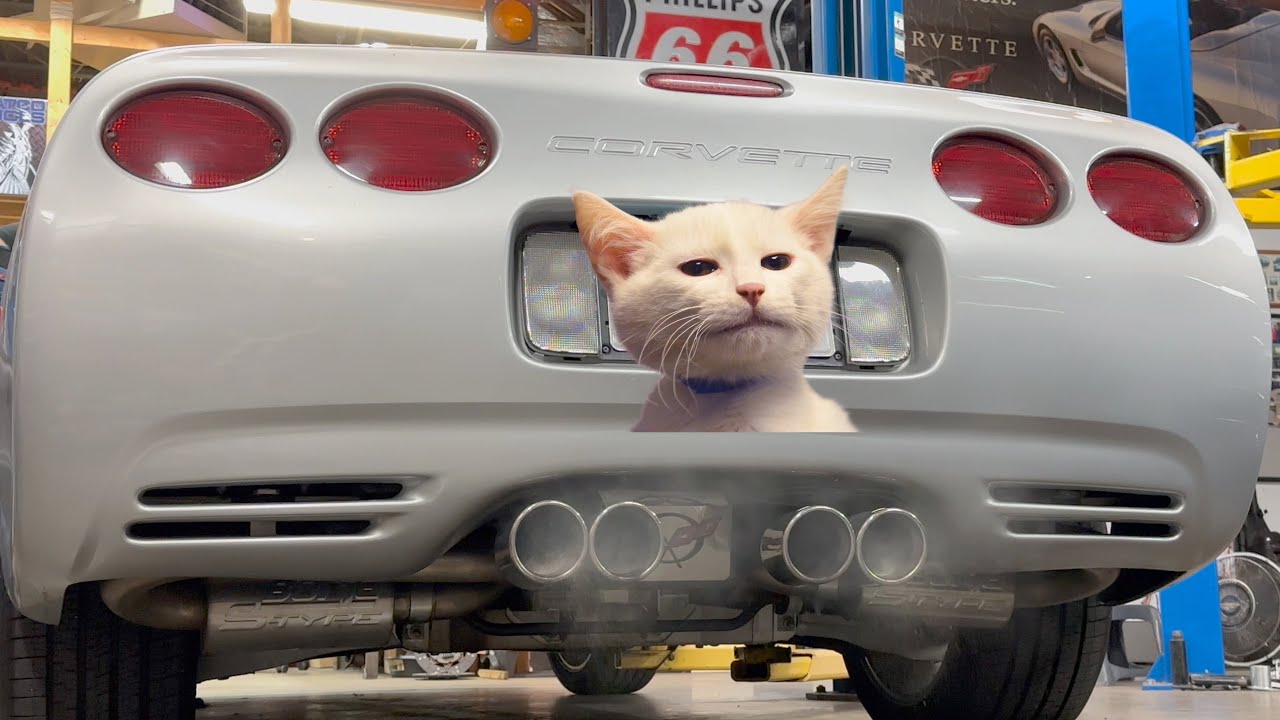 Installing Headers and a Complete Exhaust on this C5 Corvette!