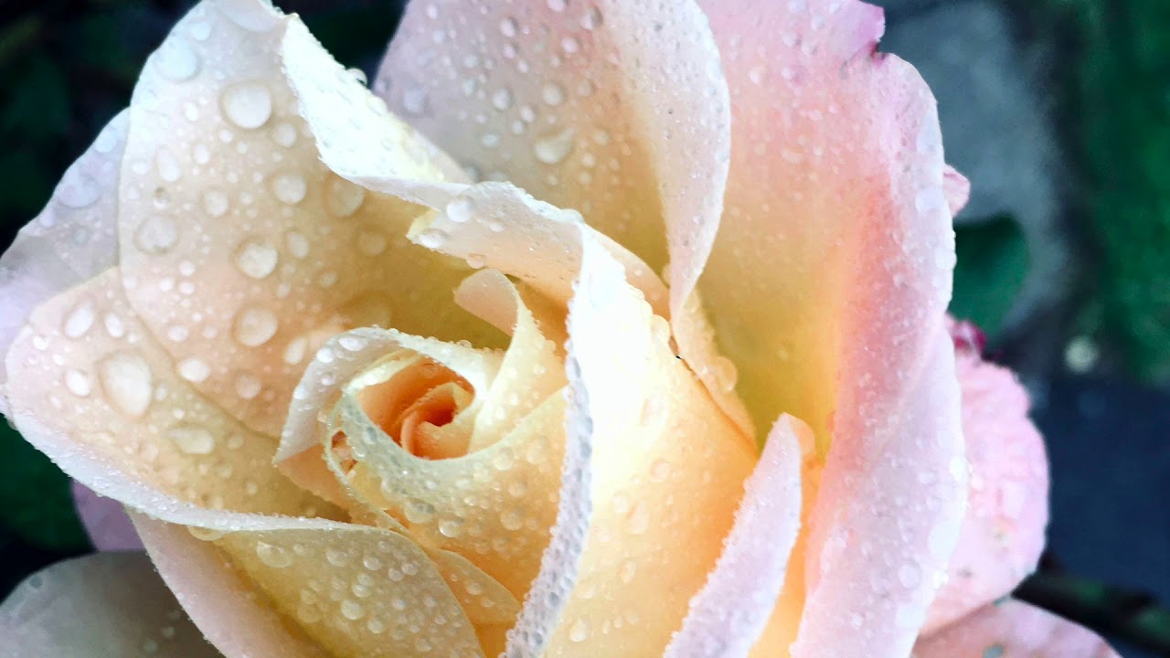 GCSE Photography course overview