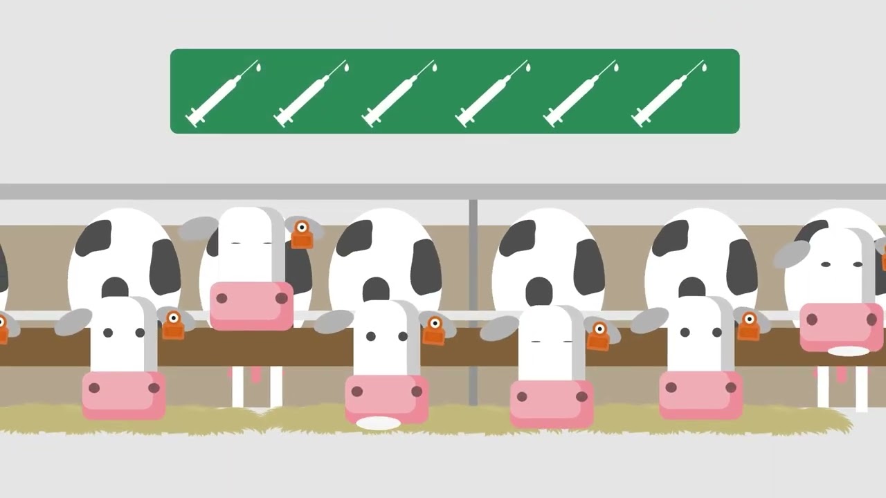 Sonstige CowManager - Brunsterkennungssystem & Kuh&uuml;berwac (VERKAUFT)
