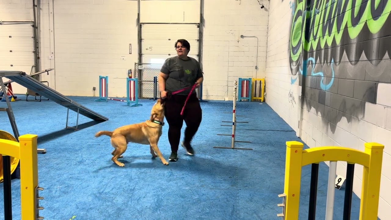 1/22/2026 Sendaway with Interruptors, Bad Training