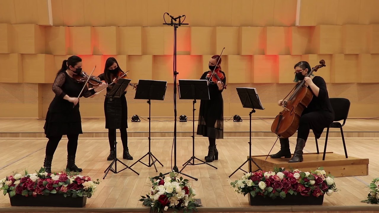 The Rolling Stones - Paint It Black  (string quartet cover)