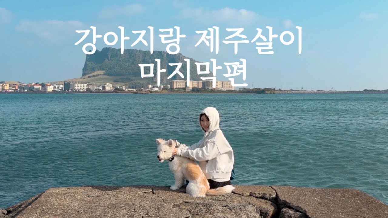 행복 뭐 있어? 제주도, 반려견, 우리👀 여행 유튜버가 될 것 같아 몰아 올리는 감성과 힙함을 모두 담은 제주살이 브이로그 마지막편