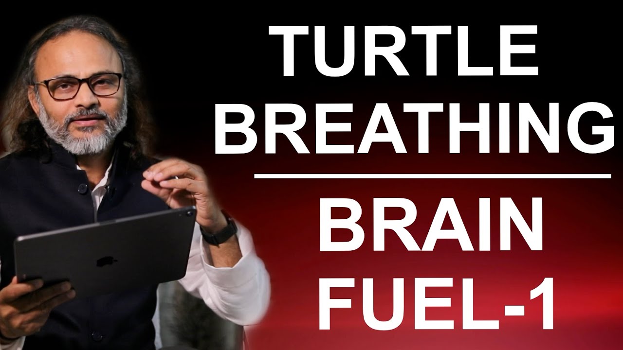 TURTLE  BREATHING IS A MAJOR FUEL OF BRAIN | कछुआ प्राणायाम मस्तिष्क की ऊर्जा सबसे अच्छा श्रोत