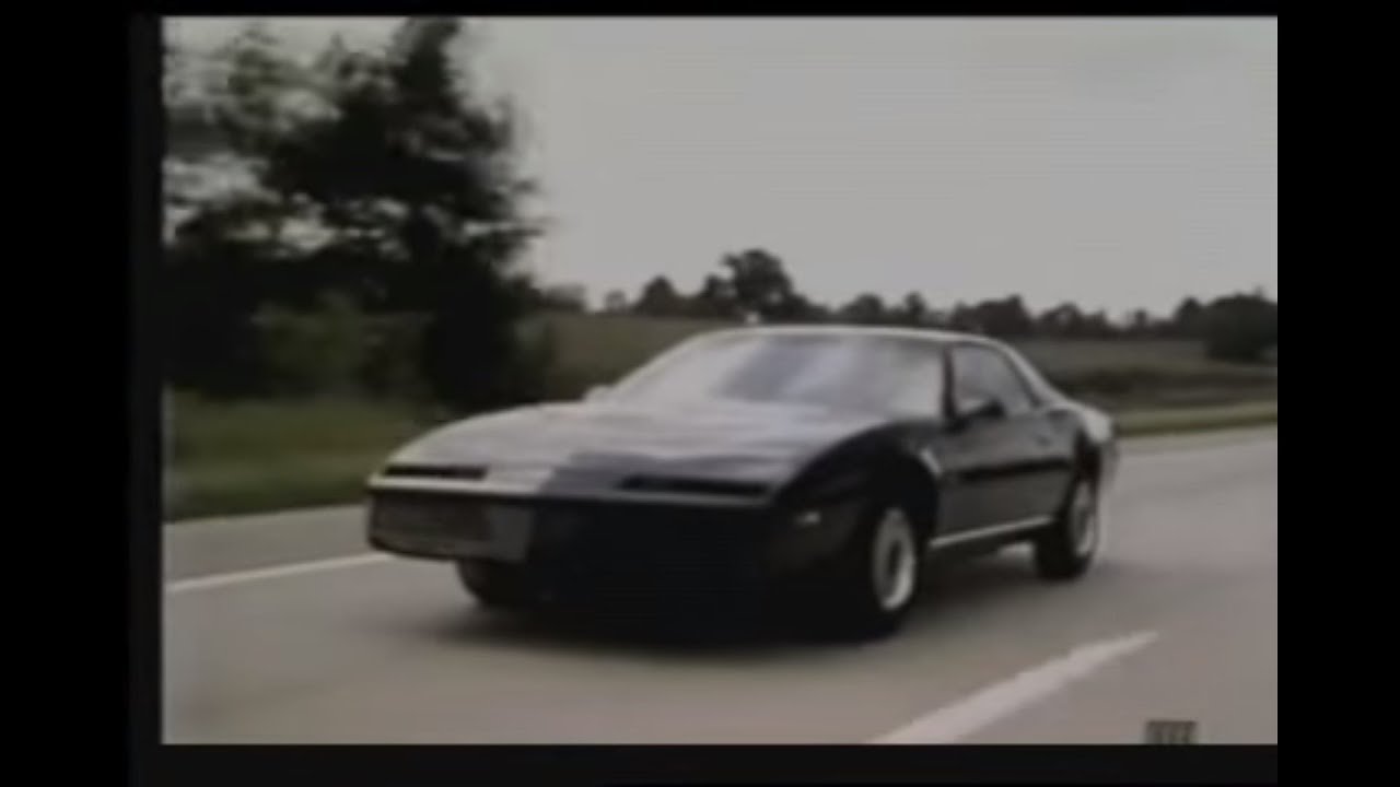 Le Cassette - Electric Paradise [Music Video]