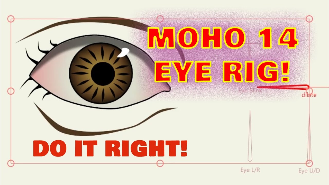 Making and rigging an Eye in Moho 14