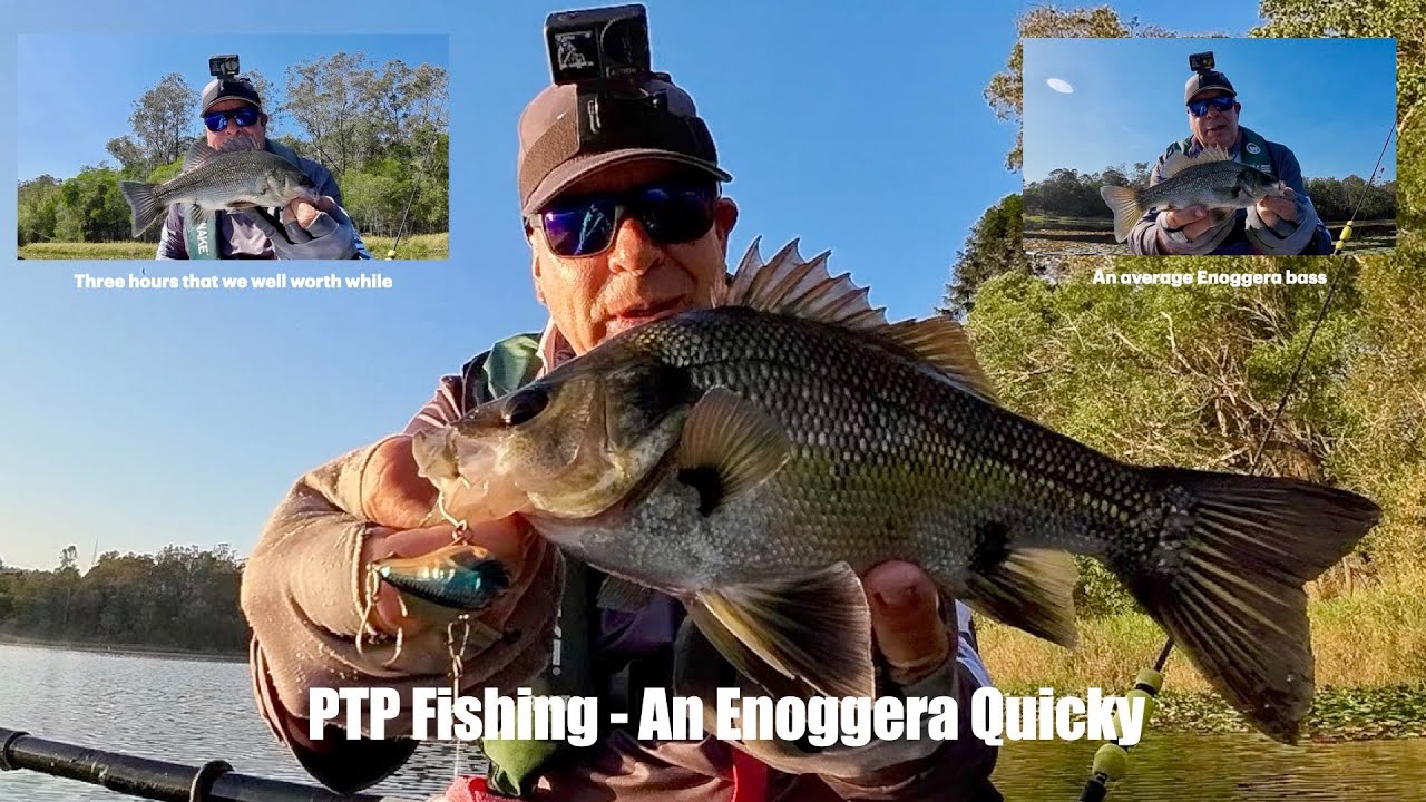 PTP Fishing - An Enoggera Quicky