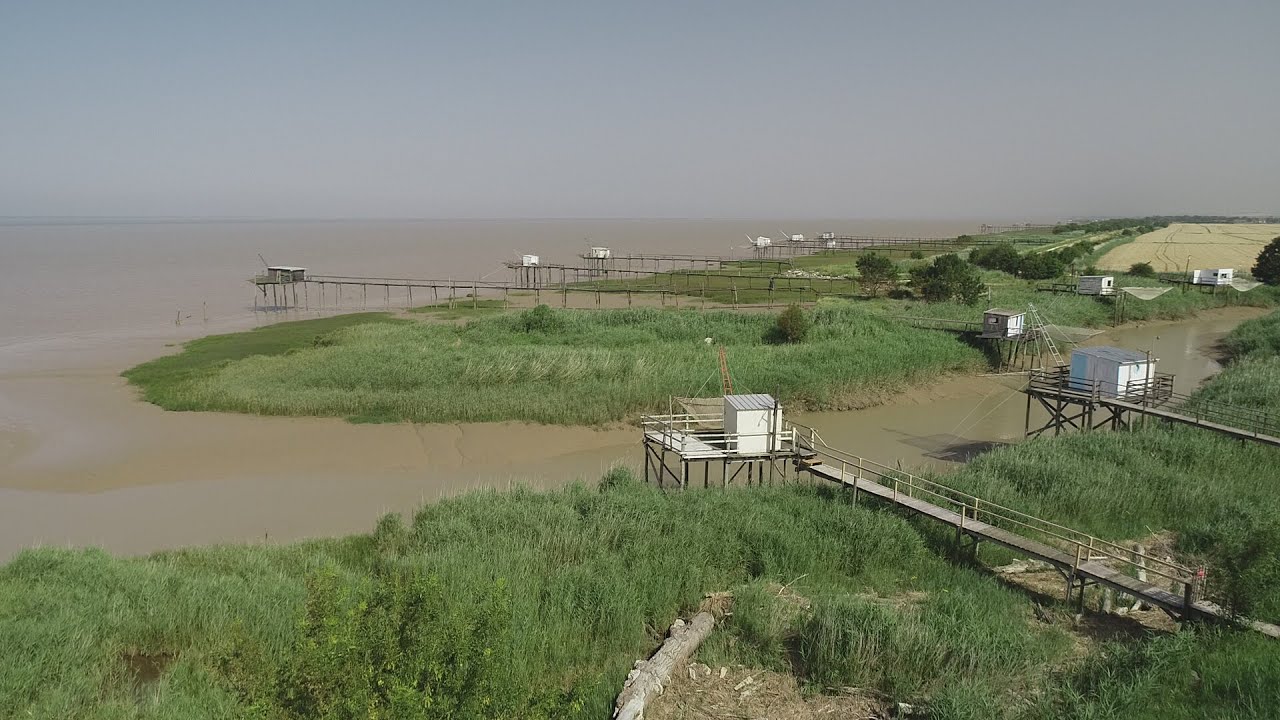 Estuaire de la Gironde... de Vitrezay à Port Maubert