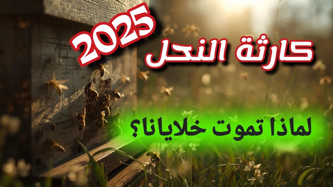 لماذا تموت خلايا النحل في 2025؟ الحقيقة الصادمة وراء انهيار المناحل