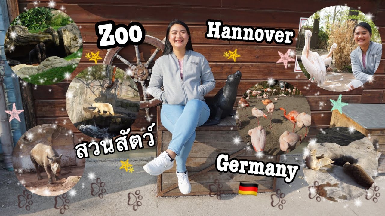 Zoo Hannover เที่ยวสวนสัตว์เยอรมันครั้งแรก | Tapaewable