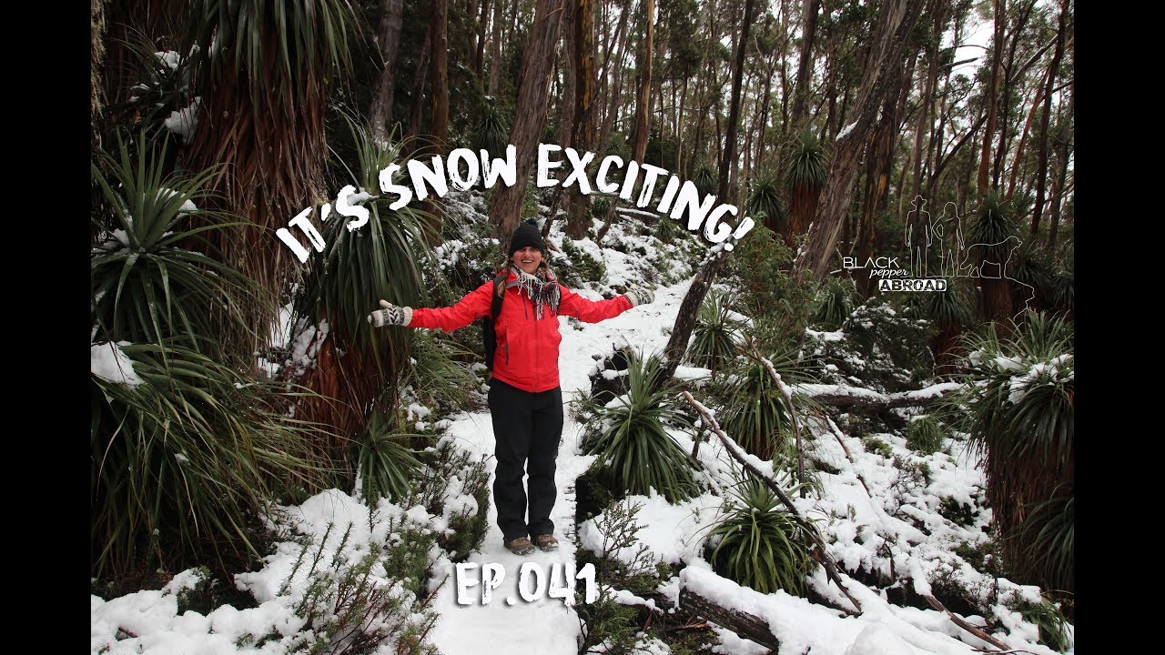 Mt. Field National Park: It's Snow Exciting! - Black Pepper Abroad Ep. 041