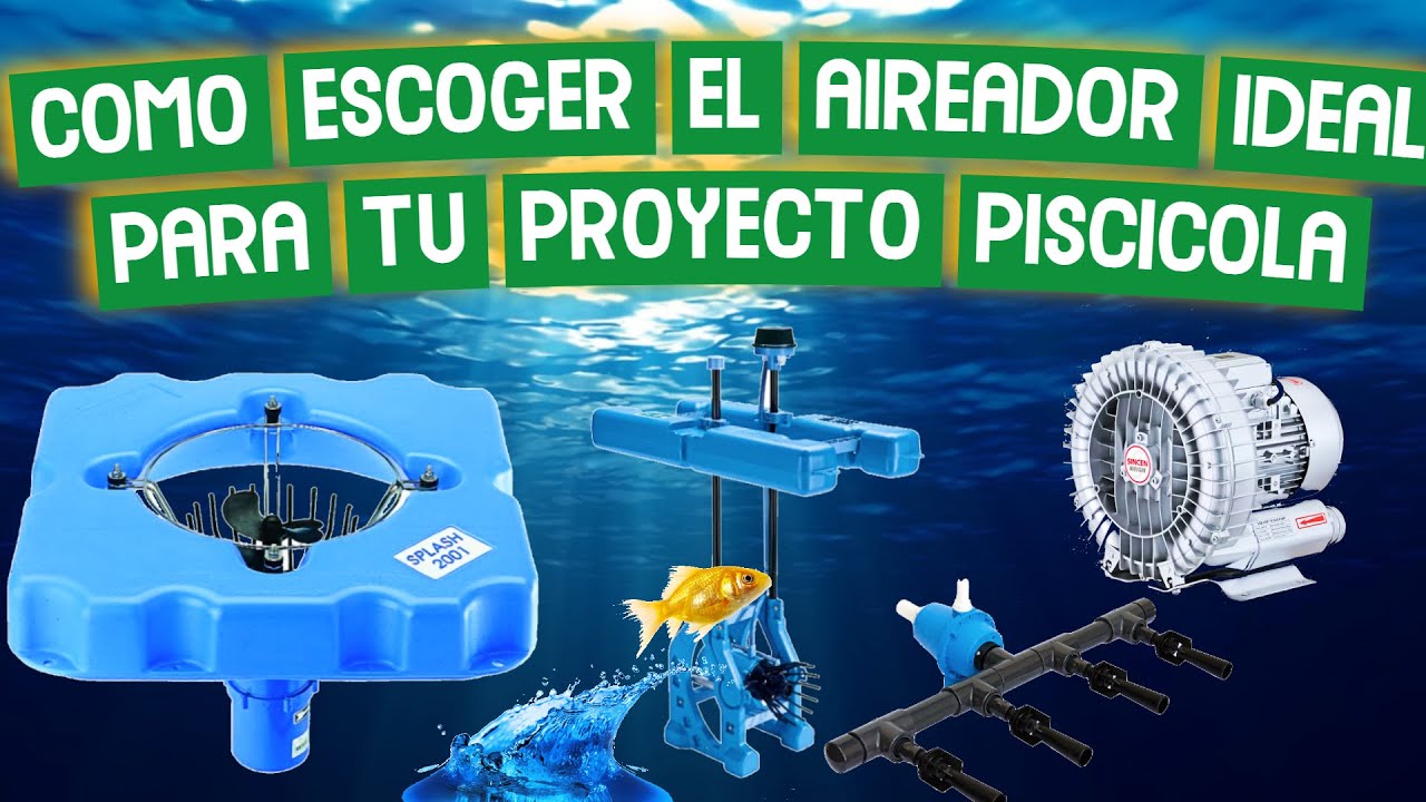 CUAL ES MEJOR AIREADOR PARA INICIAR UN PROYECTO DE CRIA DE PECES