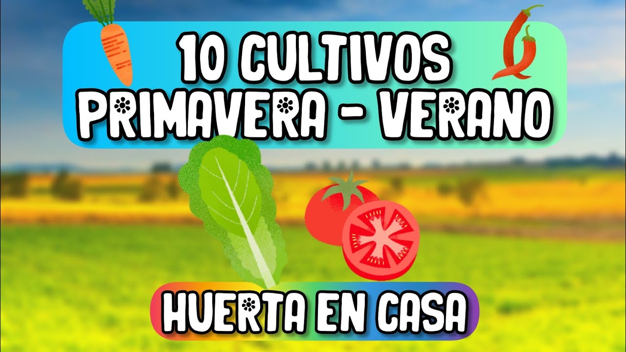 10 cultivos Primavera - Verano | Huerta en Casa | Qué sembrar | La Huerta de Daniel  #huertaencasa