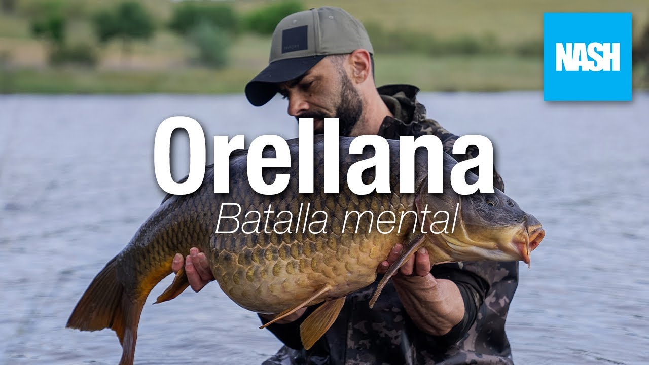 Batalla mental (Orellana) | Miguel Planes