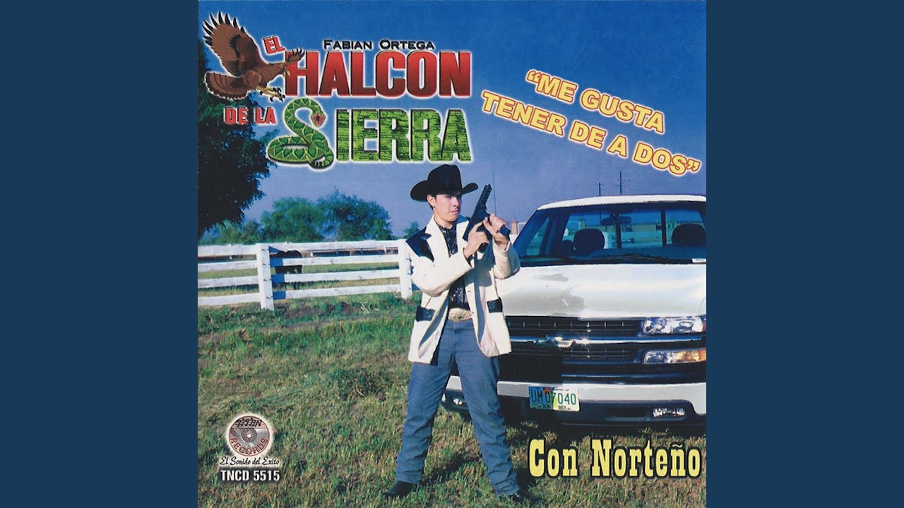 Caballo De Patas Blancas