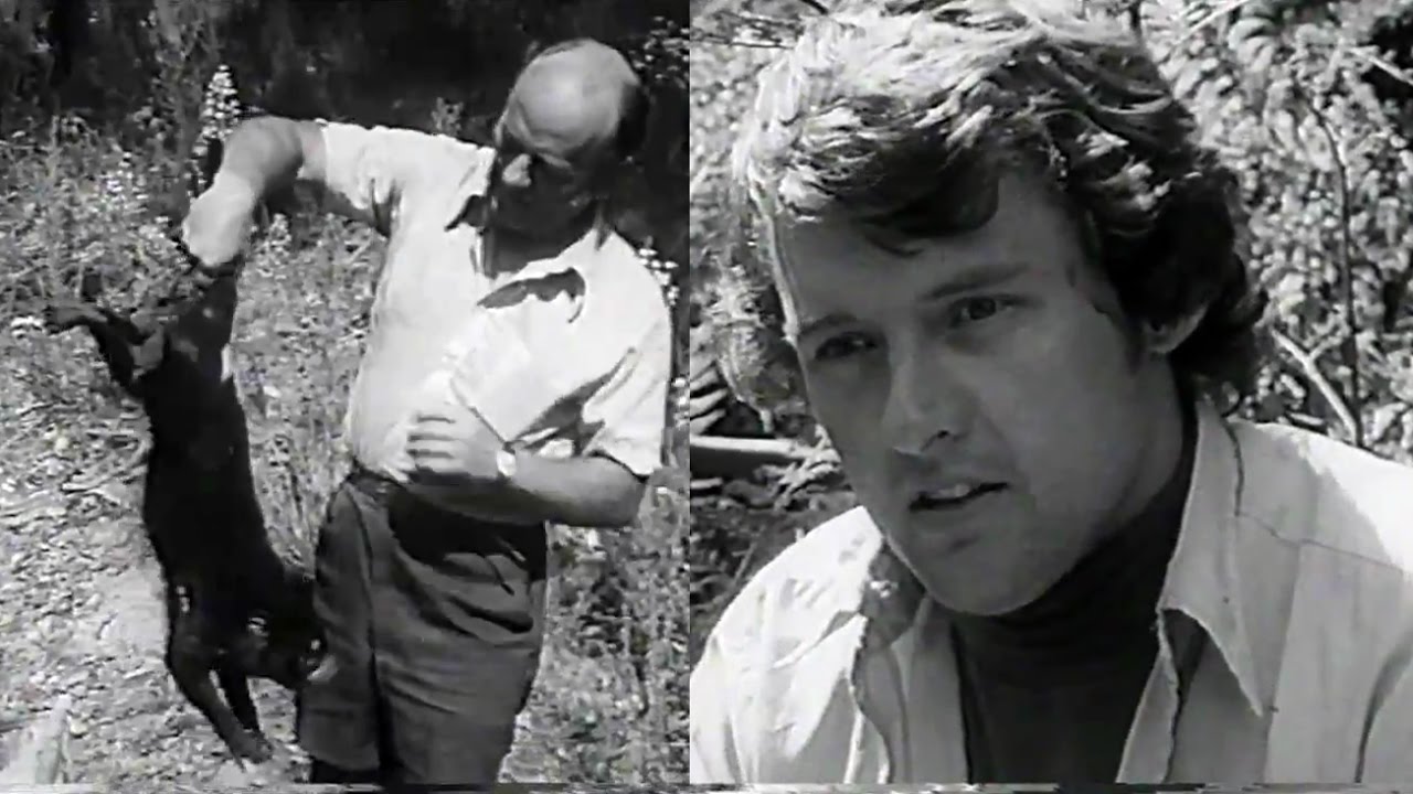 Tiger Country - 1973