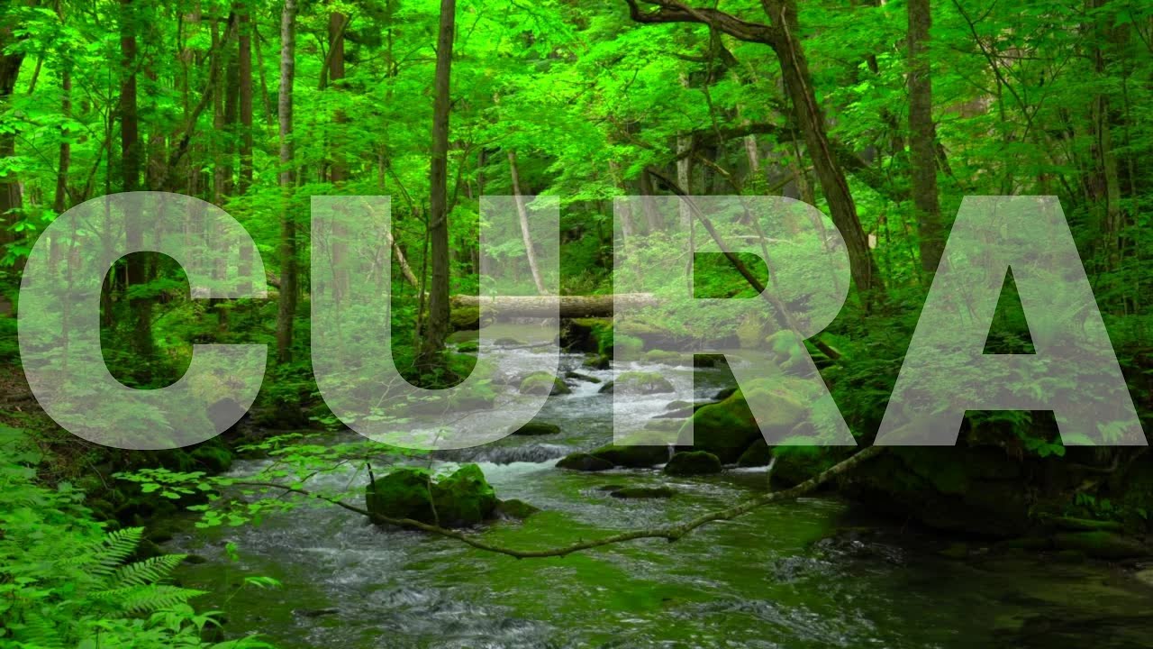 Se Essa Musica Chegou Em Você | Toda Cura e Benção de Deus Virão | Sons da Natureza Para Dormir #2