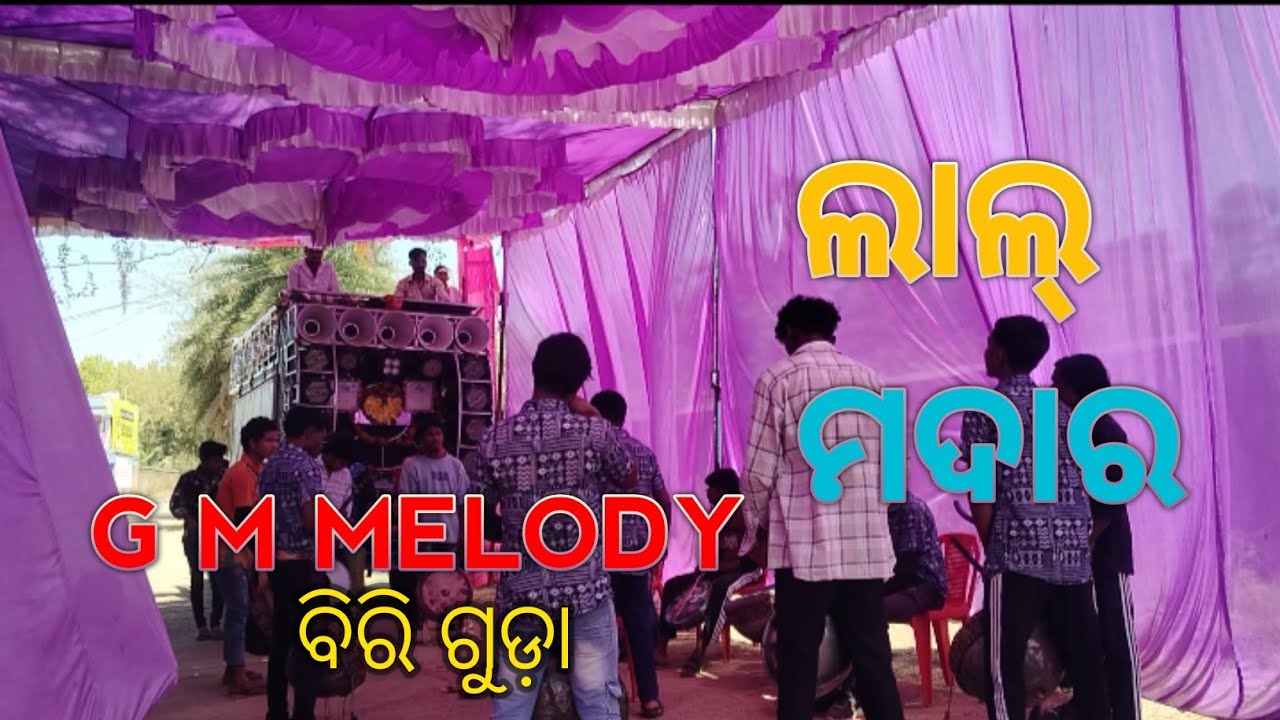 LAL MANDARA GUTE ALGA G M MELODY 2 BIRIGUDA 