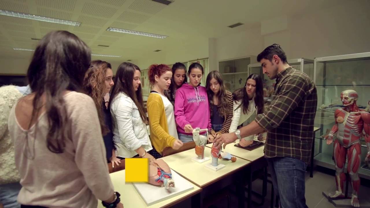 Politécnico de Leiria s/voz