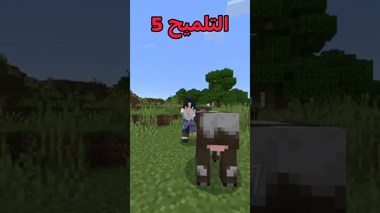 خمن البلوكة#minecraft#minecraftshorts#ماين_كرافت