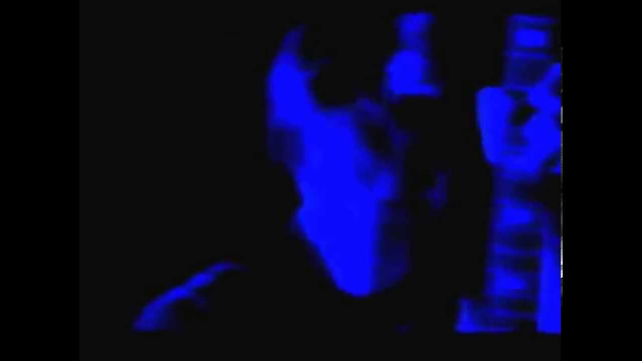 The BellRays - Fire on the Moon (Official Video)