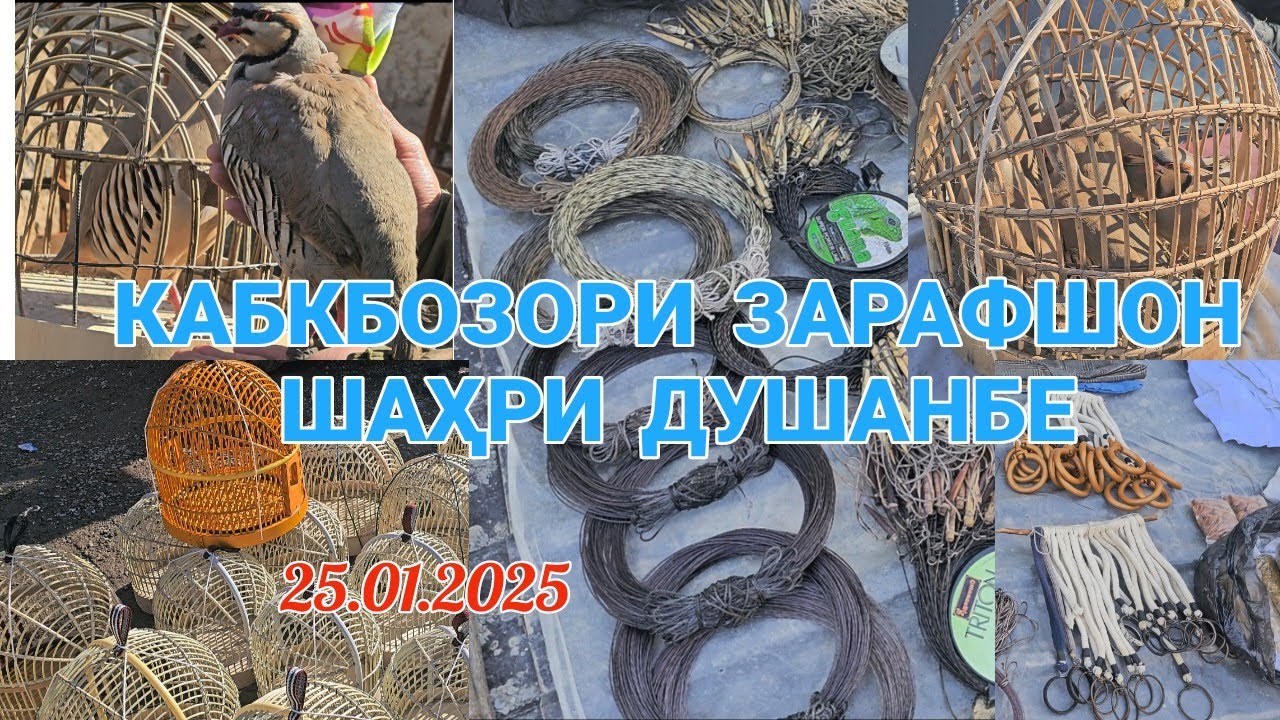 Кабкбозори Зарафшон ш. Душанбе 25.01.2025