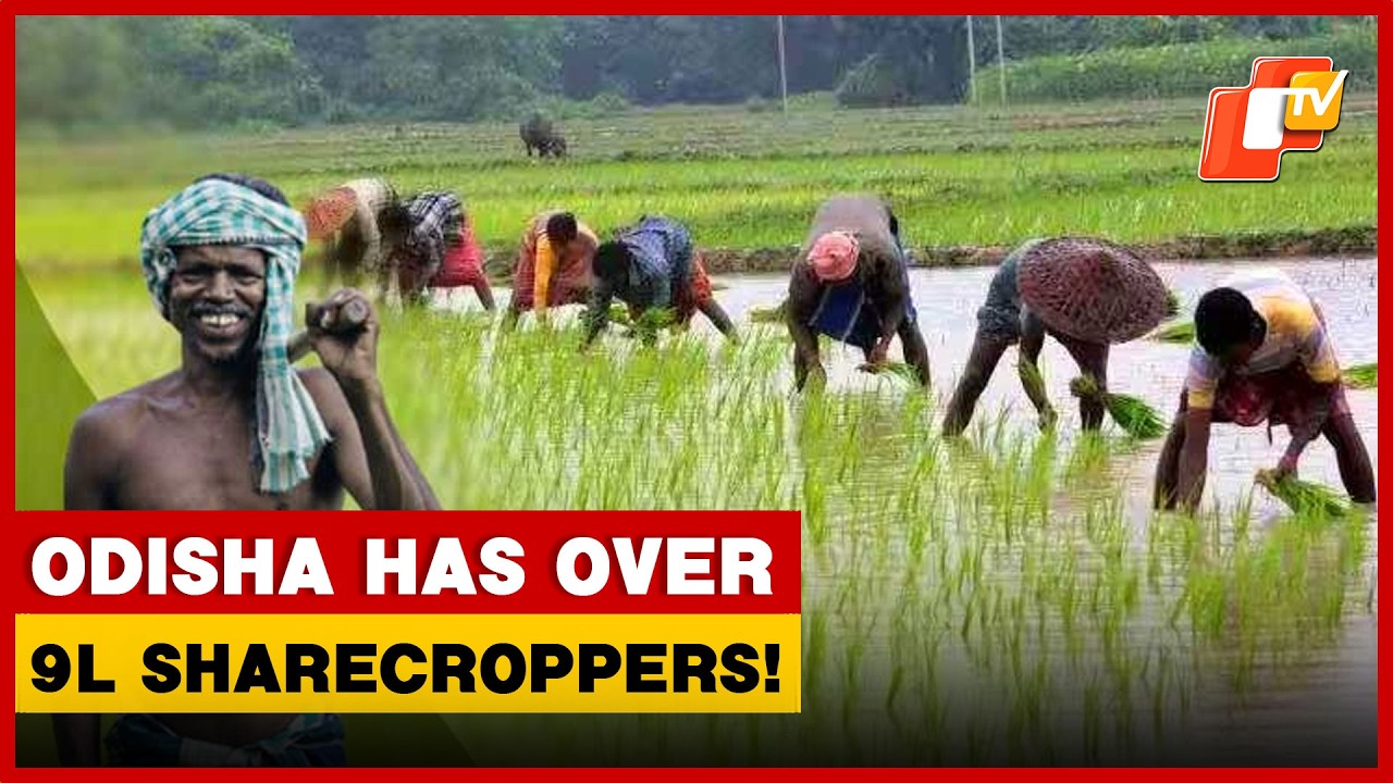 Odisha Has Over 9L Sharecroppers: Govt Reveals In Assembly | OTV