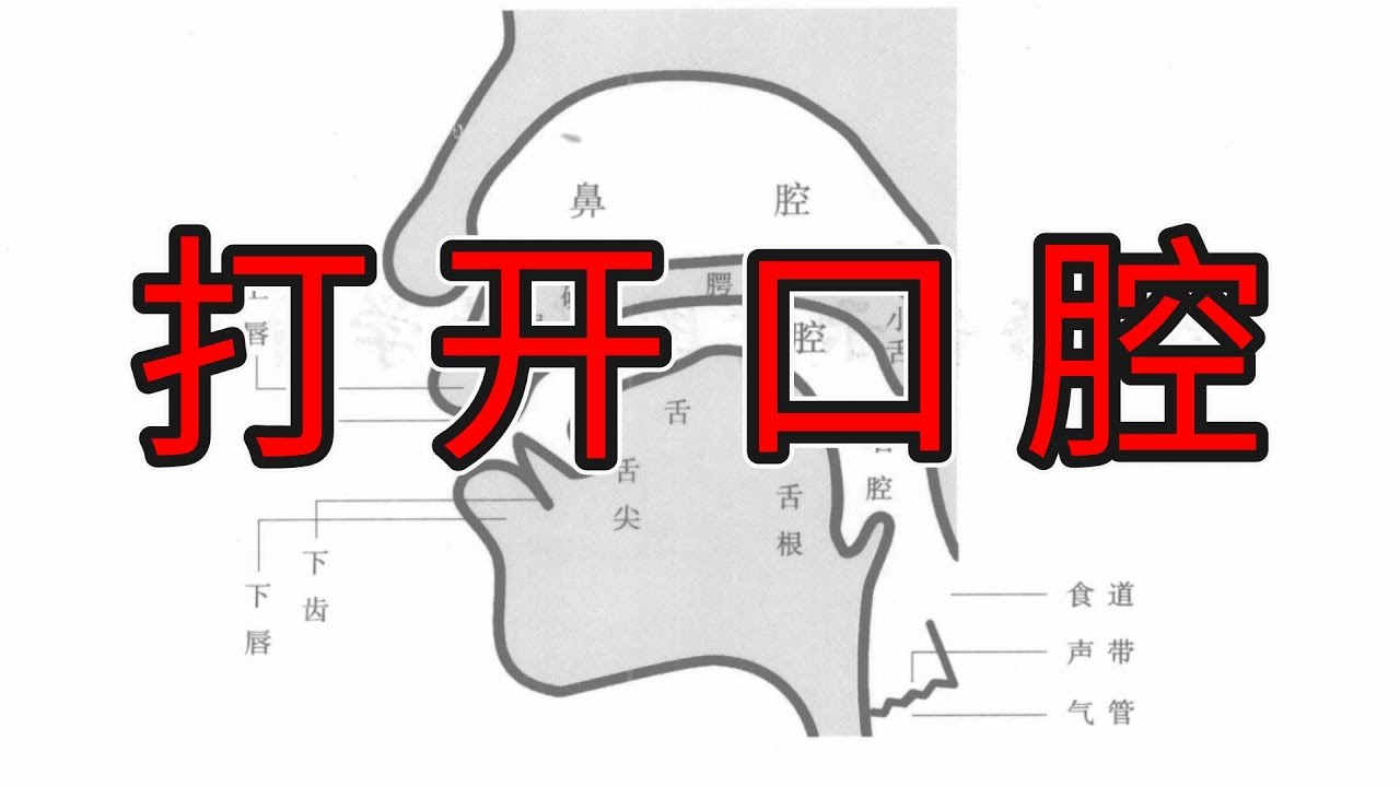 如何正确的打开口腔：口腔开合力量四边形解析