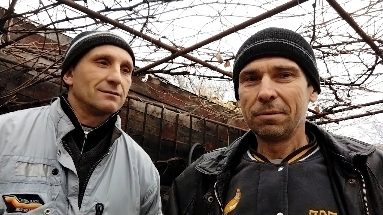 Бюджетный пчелопавильон. В гостях у коллеги.