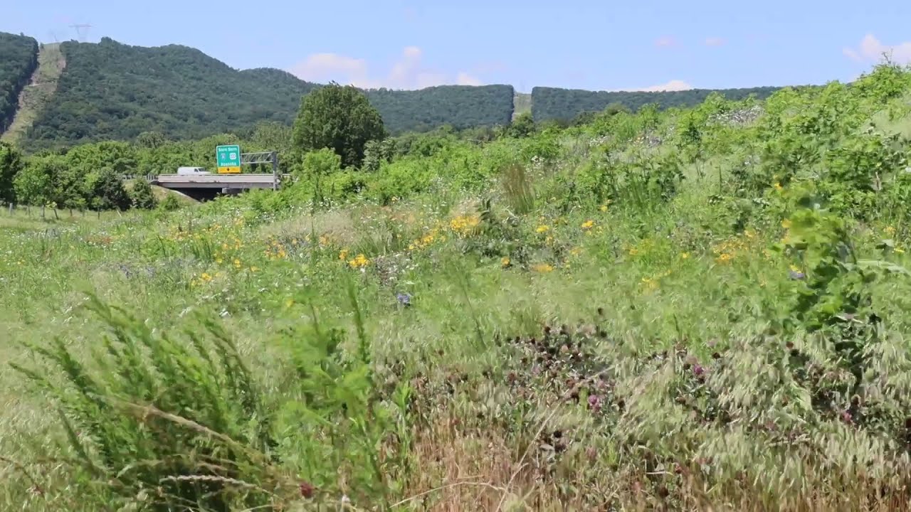Improve81 Video Series #26: Minimizing Our Footprint - Environmental Stewardship Along I-81