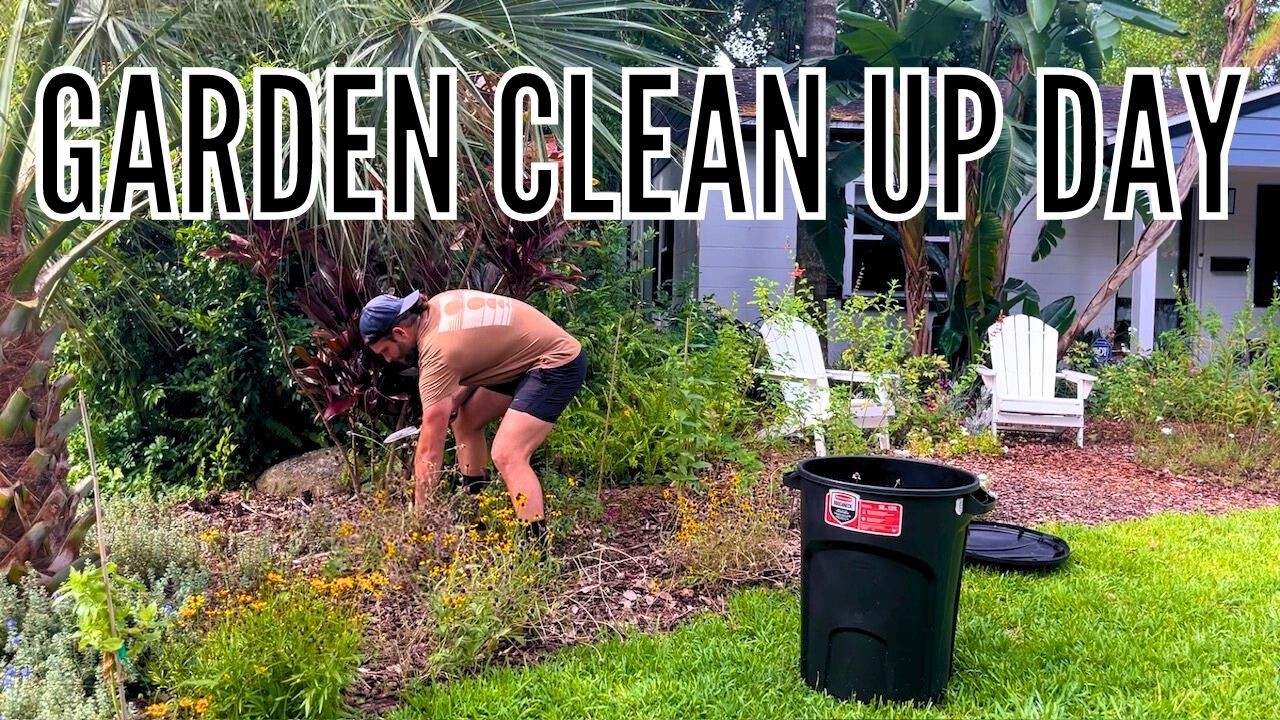 A Day in the Garden | Flower Bed Clean Up | How to Get Rid of Tree Suckers | Removing Nuisance Ferns