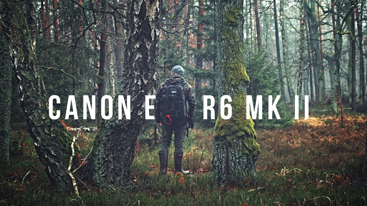 Canon EOS R6 Mark II - Фотографирование леса с винтажным объективом